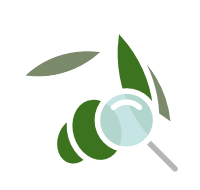 SVILUPPO<br>E RICERCA SVILUPPO<br>E RICERCA